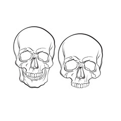 Vector illustration of human skull isolated in hand drawn realistic line style. Template for business card poster flyer and banner.