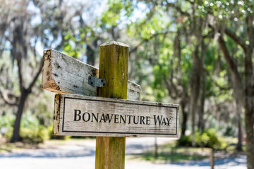 Closeup of way sign on street road landscape with oak trees and trail path in Savannah, Georgia famous Bonaventure cemetery