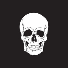 Vector illustration of human skull isolated in hand drawn realistic style. Template for business card poster flyer and banner.