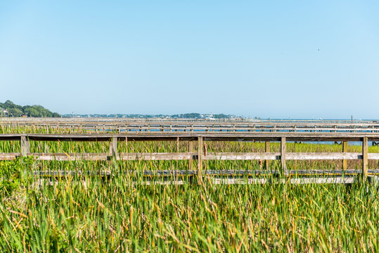 View of Hog Island Channel from Mount Pleasant in Charleston, South Carolina with wooden docks pier and green grass landscape view in southern town