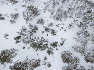 Small silhouette of person on white snow in pine winter forest. Aerial view.