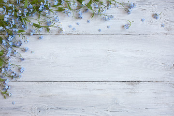 Forget-me-not flowers on a white wooden background, copy space