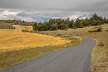 Winding road Cevennes
