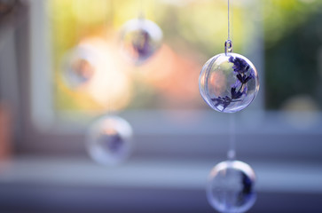 Lavender flowers hanging in transparent balls near sunny window indoor in summer.