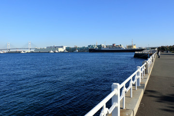 Fototapeta premium 山下公園と横浜港