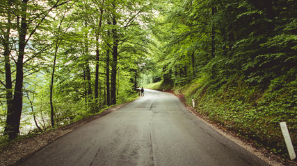 Fototapeta premium The beautiful national park of Slovenia - Triglav