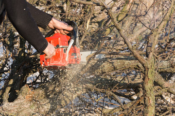 Chainsaw wood saw cut