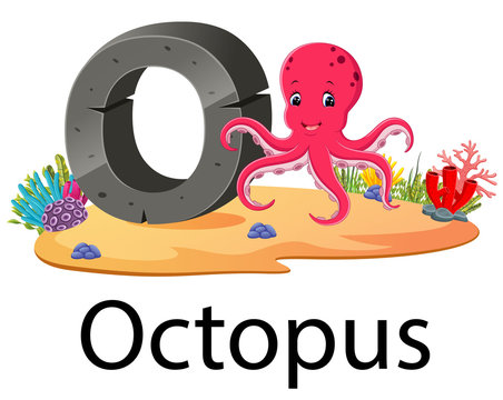 zoo animal alphabet O for Octopus with the cute animal 