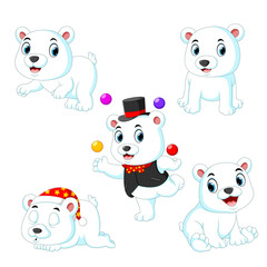 the collection of the white circus bear playing with the ball with the diferent posing
