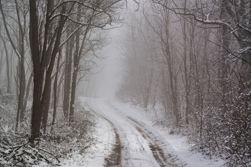 Road in snowy winter forest this is fairytale scene