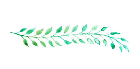 Charming green watercolor leaves in a long stem or branch illustration for a border design or chapter underline divider, hand painted ivy © Arlenta Apostrophe