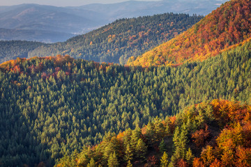 Mountain landscape with a forests in a autumn colors, The Sulov Rocks National Nature Reserve, Slovakia, Europe.
