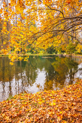 Park with a lake in autumn colors.