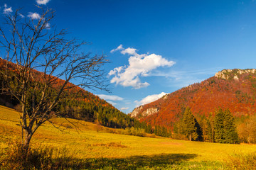 Autumn landscape in The Mala Fatra national park, Slovakia, Europe.