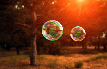 soap bubbles into the sunset with beautiful bokeh.close-up