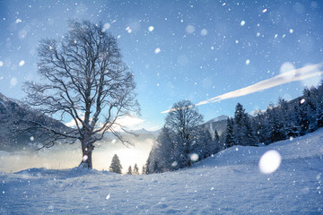 Traumhafte Winterlandschaft mit Schneefall und verschneiten Bäumen in den österreichischen Alpen...