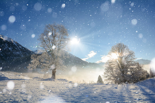 Traumhafte Winterlandschaft mit Schneefall und verschneiten B&auml;umen in den &ouml;sterreichischen Alpen bei Salzburg, &Ouml;sterreich