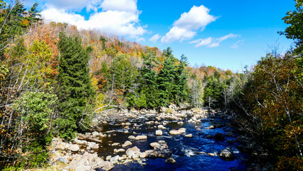 Running Stream Through Rocks and Stones