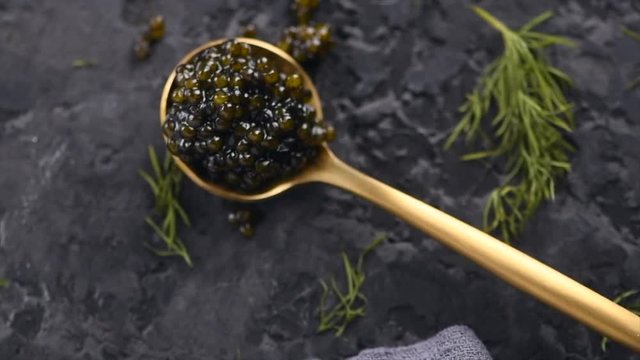 Black caviar in a spoon on dark background. Natural sturgeon black caviar closeup. Delicatessen. 4K UHD video footage 3840X2160