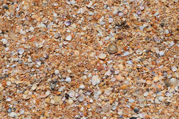 pebbles on the beach