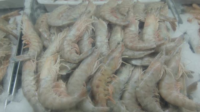 Several types of frozen fish in the municipal market of São Paulo