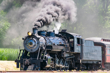 Obraz na płótnie Canvas Steam Passenger Train Pulling into Picnic Area
