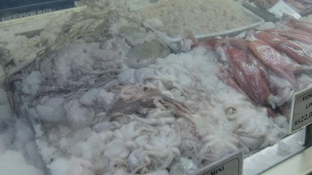 Several types of frozen fish in the municipal market of São Paulo