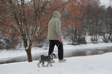 Naklejka na ściany i meble the man walking with a dog in cloudy winter day