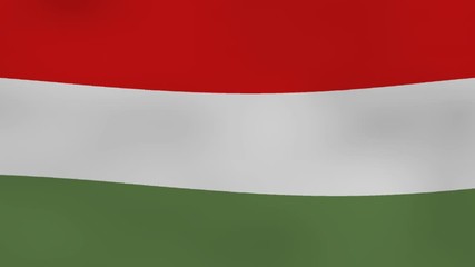 Hungary flag