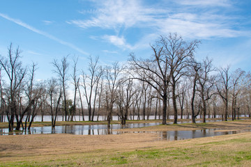 Red River exceeds flood stage