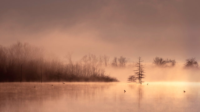 Misty morning on lake