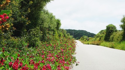 De camino