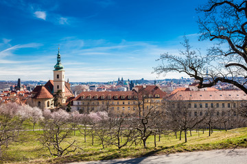 Prague city seen from the Petřín Gardens at the begining of spring
