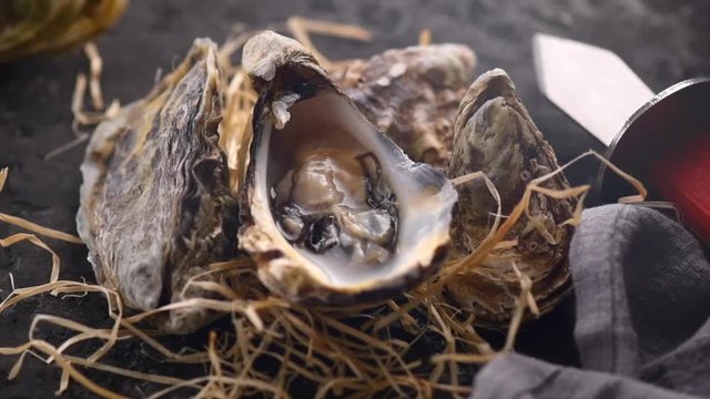 Oyster. Fresh oysters closeup with knife. Oyster dinner in restaurant. Gourmet food. 4K UHD video footage 3840X2160