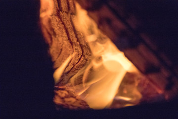 Fire in logs