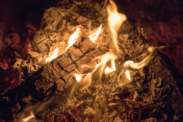Campfire