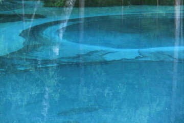 lake in the deep forest