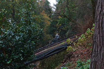 Elevator tracks and nature in Bom Jesus de Braga sanctuary. Braga, Portugal