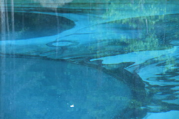 lake in the deep forest