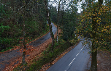 Naklejka premium Roads near Bom Jesus de Braga. Braga, Portugal