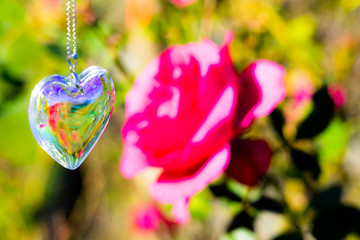 heart crystal glass  refract sunlight - rose garden background