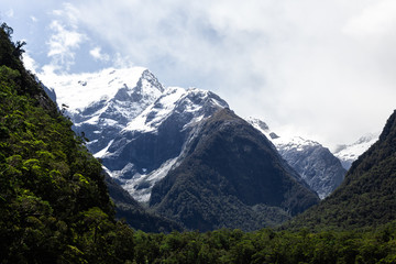 Fototapeta na wymiar Milford Sound Mountains New Zealand Landscape