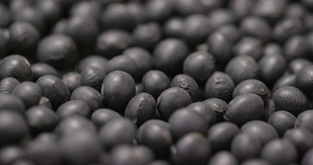 Black soy bean