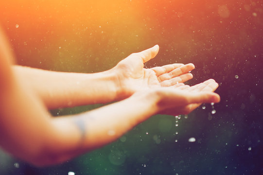 78 613 Best Hands In Rain Images Stock Photos Vectors Adobe Stock 78 613 Best Hands In Rain Images Stock Photos Vectors Adobe Stock