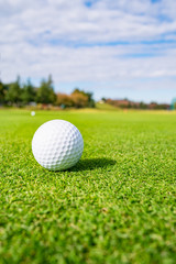 Golf Course where the turf is beautiful and Golf Ball on putting green. Golf is a sport to play on the turf	