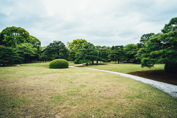 Meadow scenery landscape with blue sky concept in spring. Smooth green grass lawn trees with supporting and shrub in a good maintenance gray curve pattern walkway. beautiful nature forest park japan.