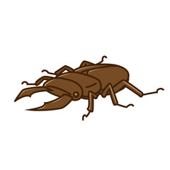 クワガタ
