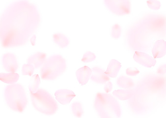 風に舞う花びら