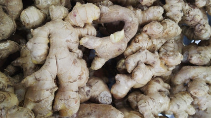 Ginger