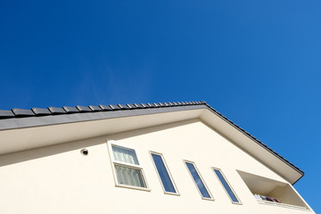 漆喰と大屋根の家